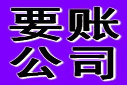 债务纠纷全解析：从讨债到收账的全程指导